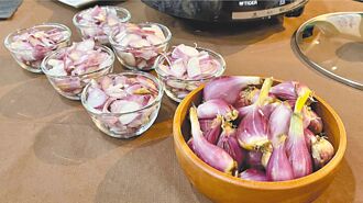 台南紅蔥頭 產地價飆升1倍