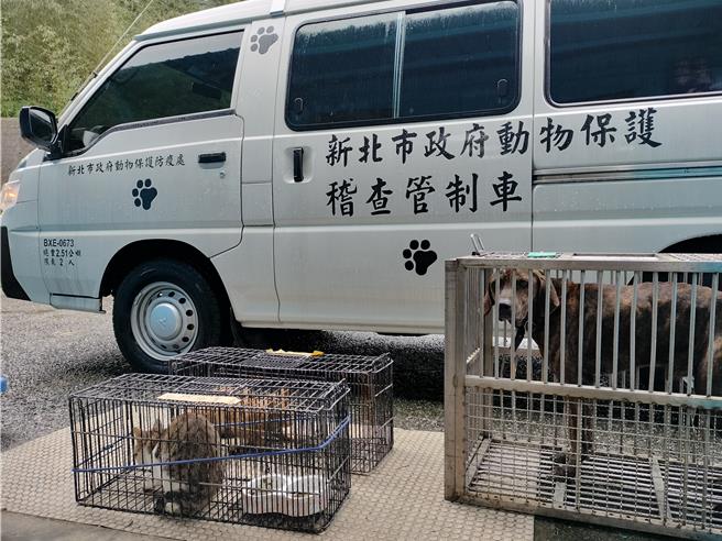 新式管制車機動性高，成為救援工作的生力軍。（新北市動保處提供）