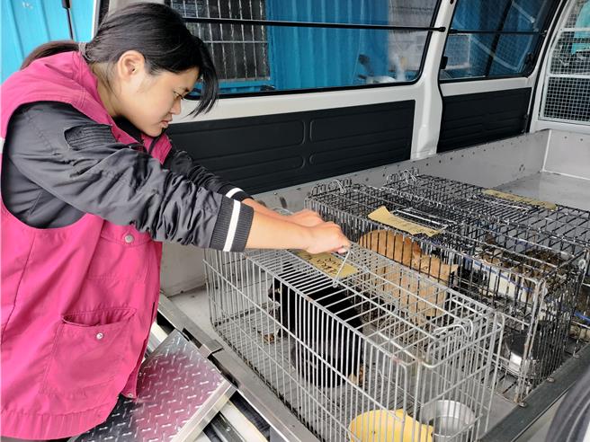 後車廂改裝設計有空調系統，增加動物舒適安全。（新北市動保處提供）