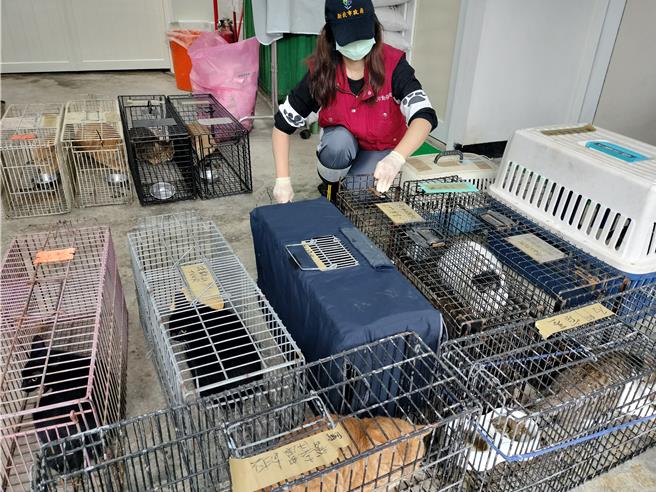 新式管制車提升犬貓回所絕育工作量能。（新北市動保處提供）
