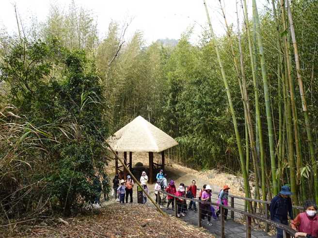 兴南旅行社宣布营业至月底，2月1日正式熄灯。（翻摄兴南旅行社脸书）