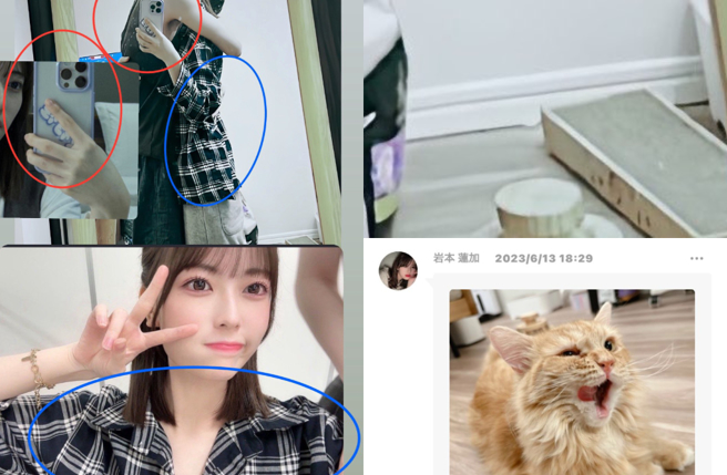 除了服装、手机，就连猫咪玩具抓板都被网友抓到，一一对比出来。（图／翻摄Ｘ）