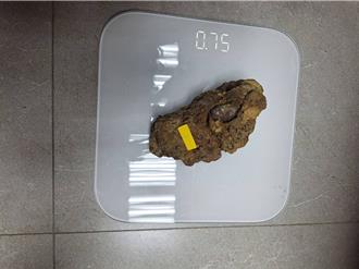 開300萬名車盜採珍貴北投石   囂張豪車男3小時被逮