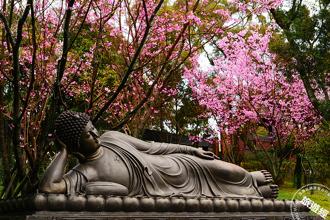 春節來淡水祈福！遊緣道觀音廟市集 賞櫻、換古裝