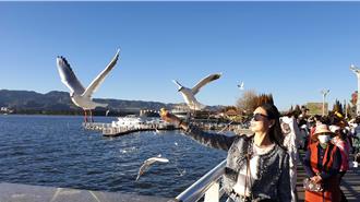 吃不了冬天上班的苦  陸年輕人乾脆裸辭做「候鳥」