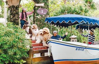 理想大地春節專案 與毛孩同歡