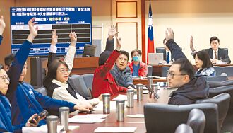 政院拋預防救濟 司法院認準用憲訴法