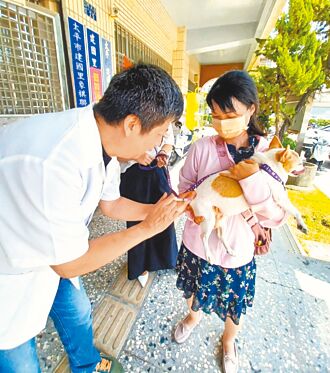 中市動保處 營造友善寵物環境