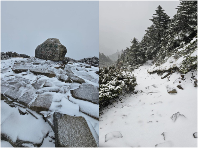 15日寒流来袭，雪山主峰飘雪。（国立中兴大学森林系提供／谢明俊苗栗传真）