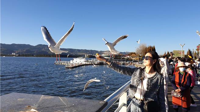 吃不了冬天上班的苦，陆年轻人裸辞做「候鸟」。（蓝孝威摄）