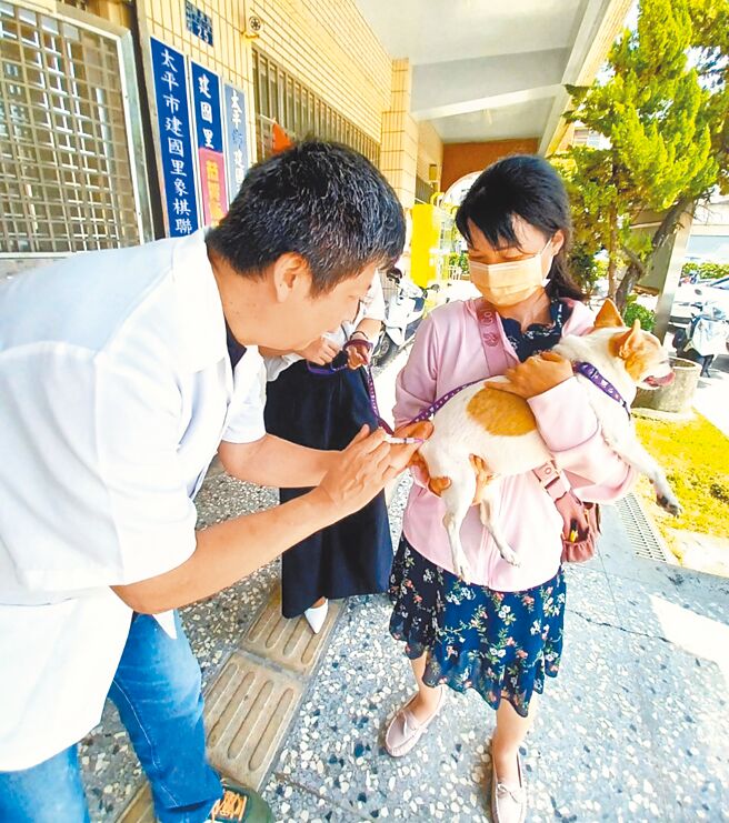 市府积极推行犬猫狂犬病疫苗注射服务，提供市民多元选择。（臺中市动物保护防疫处提供／陈淑娥臺中传真）