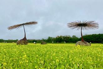蛇年走春去！森林遊樂區推出過年限定體驗