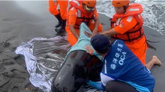 海保署招募海洋保育巡查員 資格條件曝 起薪超過37K