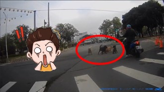 不講武德！大馬路上打群架　嘉義勇敢騎士「按喇叭」驅趕