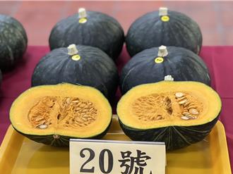 草屯南瓜评鑑 去年瓜王李颖忠居次 台中农友林锦源夺冠