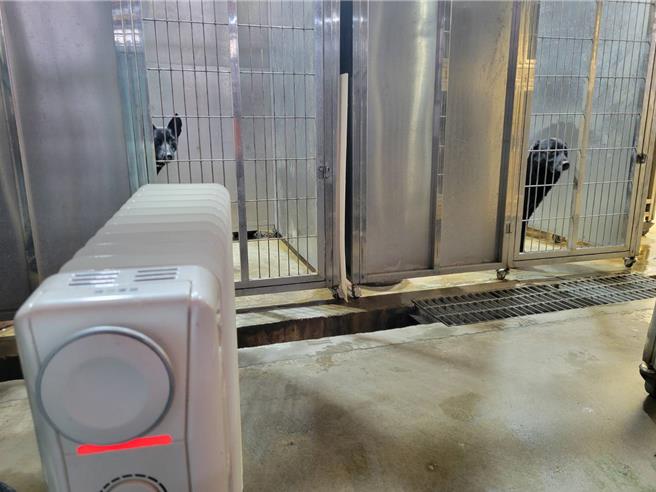 若饲主对宠物置之不理，导致宠物生病甚至冻死，最高可处7.5万元罚锾，情节重大者恐面临刑责。（北市动保处提供）