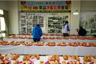 頭份市慶祝農民節 百位傑出農民表揚暨桶柑評鑑