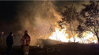 金門陽明湖林地驚傳火警  2嫌竊電纜線焚燒釀災遭逮