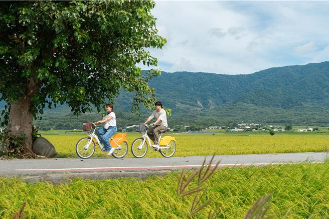 台东伯朗大道。（台东县政府提供／蔡旻妤台东传真）