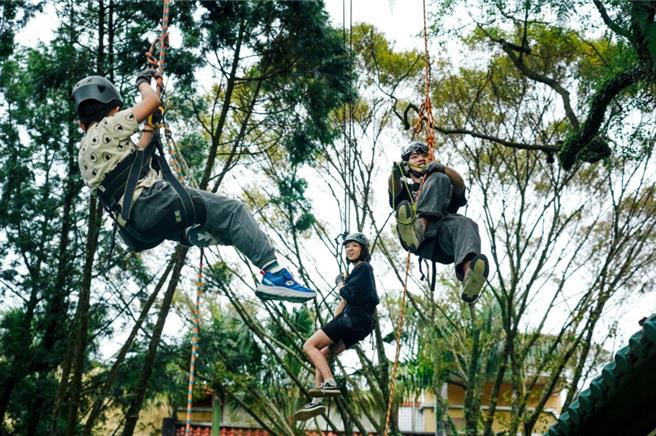 台大创新领域学士学位学程以学生个人专题为核心，透过跨领域学习环境，培养创造新兴领域的创新人才。图为台大学子在大溪的国小内进行攀树体验活动。（台大提供）