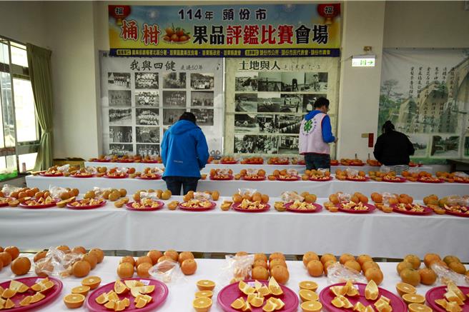头份市农会与头份市公所17日联合举办踩街及114年头份市各界庆祝农民节绩优农民表彰大会暨桶柑果品评鑑比赛，会中表扬100位表现优异的农民。（吕丽甄摄）