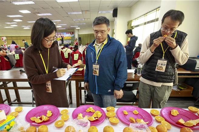 头份市农会与头份市公所17日联合举办踩街及114年头份市各界庆祝农民节绩优农民表彰大会暨桶柑果品评鑑比赛，会中表扬100位表现优异的农民。（吕丽甄摄）