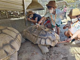 高雄壽山動物園蛇年賀新春 全國12歲以下兒童免費入園