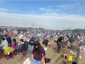 嘉縣最大規模焢窯登場 近2000人歡聚農地吃雞腿、甜玉米