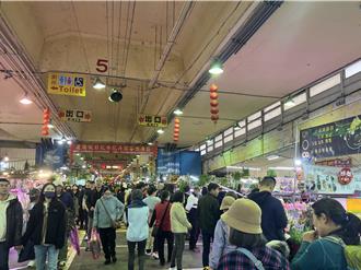 因牡丹結緣20年 台北將與日本這城市直航