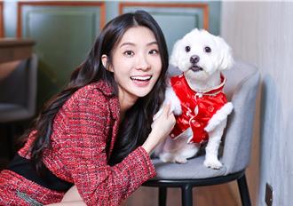 专访／陈华为爱犬穿新衣过好年 发片日遭咬伤果然大红大紫