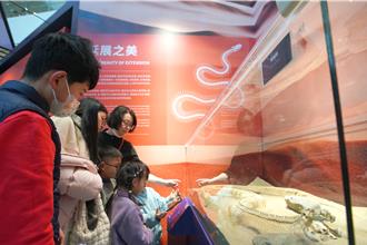 蛇年将至上海自然博物馆特展80件蛇类标本