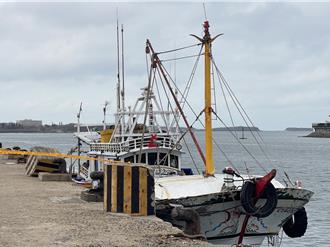 春節將近私梟蠢動  魚艙赫見500箱蒲燒鰻