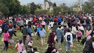 迎春好菜頭！中市親子拔蘿蔔 3千民眾擠爆蘿蔔田體驗