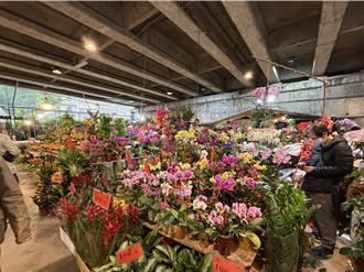 30年水電困擾沒了！桃園假日花市跳電問題終解套