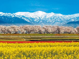 一期一会春浪漫