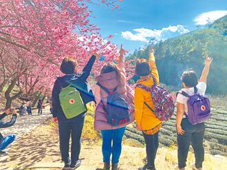 搭火車追櫻 穿梭粉紅夢幻世界