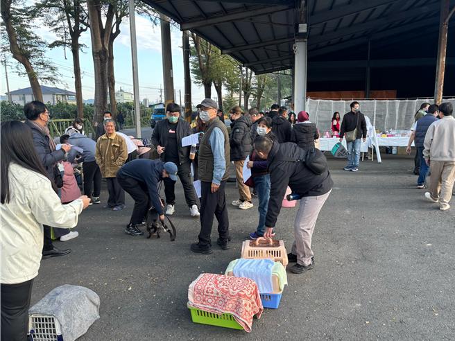 高雄市动物保护处19日在大树区举办偏乡巡迴犬、猫绝育三合一活动，民眾反应热烈。（动保处提供／林瑞益高雄传真）