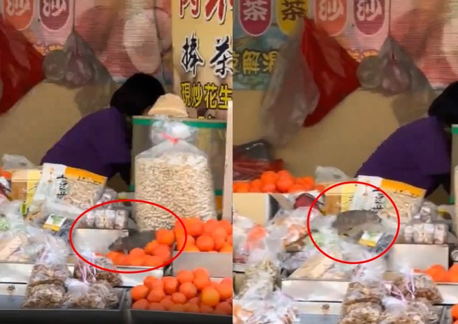 大老鼠在摊贩跳来跳去，拍摄者表示老鼠也要出来补年货了。（翻摄爆废公社）