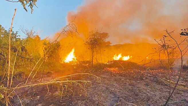 苗栗縣露天焚燒問題嚴重，不僅危害空氣品質，更可能引發火災，其中後龍鎮等地尤為嚴重。（苗栗縣消防局提供／呂麗甄苗栗傳真）