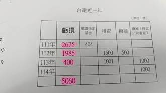  國營工會挺台電預算 基層痛批：瞎挺！請先檢討錯誤政策
