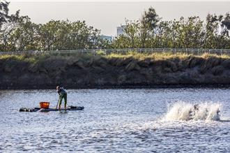 冷氣團來襲！竹縣提醒農漁民做防寒措施 減少農損