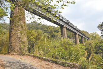 苗栗2縣定古蹟 調研今出爐