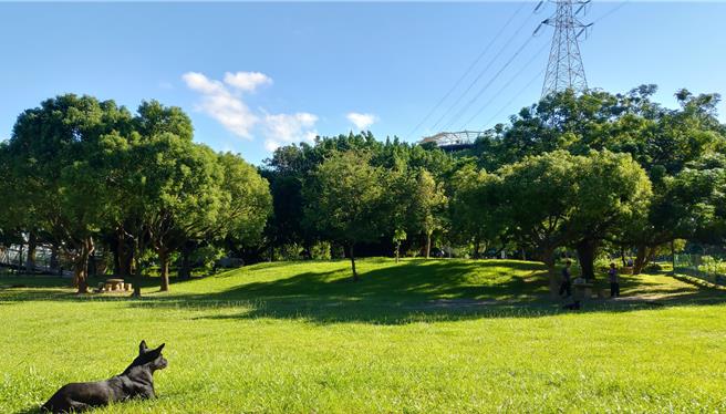 清水鰲峰山公園陽光草坪。（民眾提供／李京昇台中傳真）
