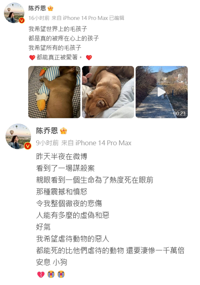 陈乔恩两度PO文替「艾特」发声。（图／翻摄自陈乔恩 微博）