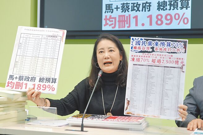 被蓝营点名罢免的民进党立委吴思瑶表示，第一阶段成案，确定是挡不住的民意，第二阶段以后民进党党公职将扮演协力角色。（本报资料照片）