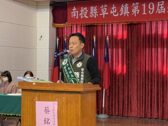 草屯鎮長補選民進黨慘輸  陳鳳馨曝「這群人」大量反撲