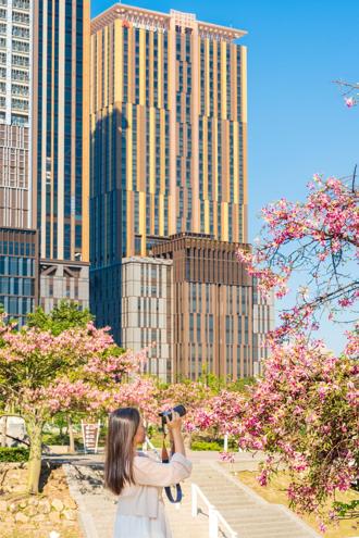 高雄萬豪推冬日遊樂園住房專案 搭遊艇從海上看吉伊卡哇