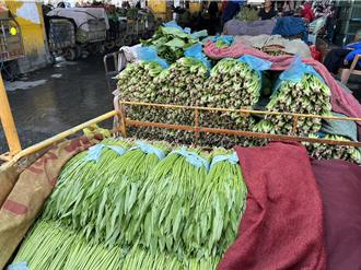 從天花板掉到地板！菜價回檔一半 主婦過年採買無負擔