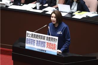 總預算紛擾中三讀通過 陳菁徽：民進黨製造對立只為醞釀罷免