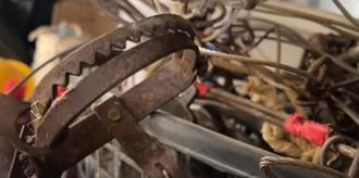 野生動物保育法三讀 全面禁用獸鋏